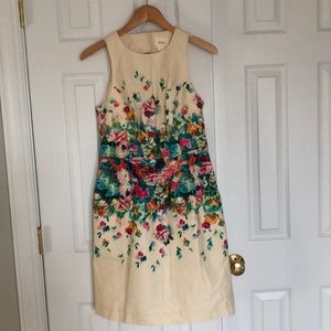 MAEVE Woman’s Dress